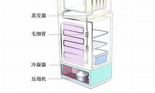 风冷电冰箱结构图_风冷电冰箱结构图解_1