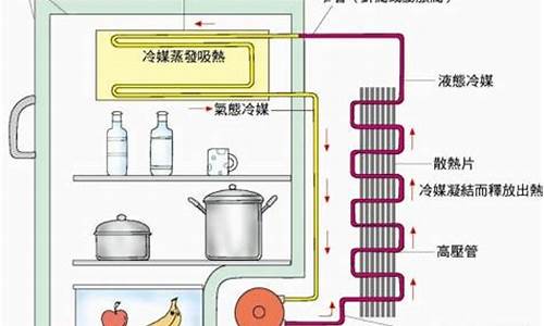 家用电冰箱的工作过程_家用电冰箱工作原理