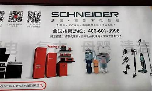 法国家电品牌_法国家电品牌商SCHNEIDER破产