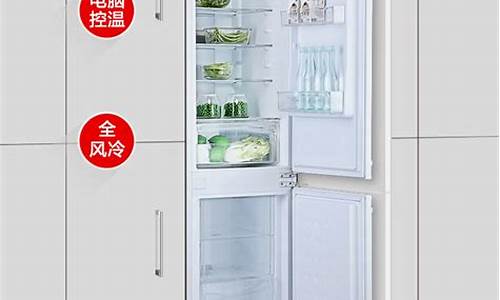 上海尊贵冰箱358_上海尊贵冰箱358升多少钱